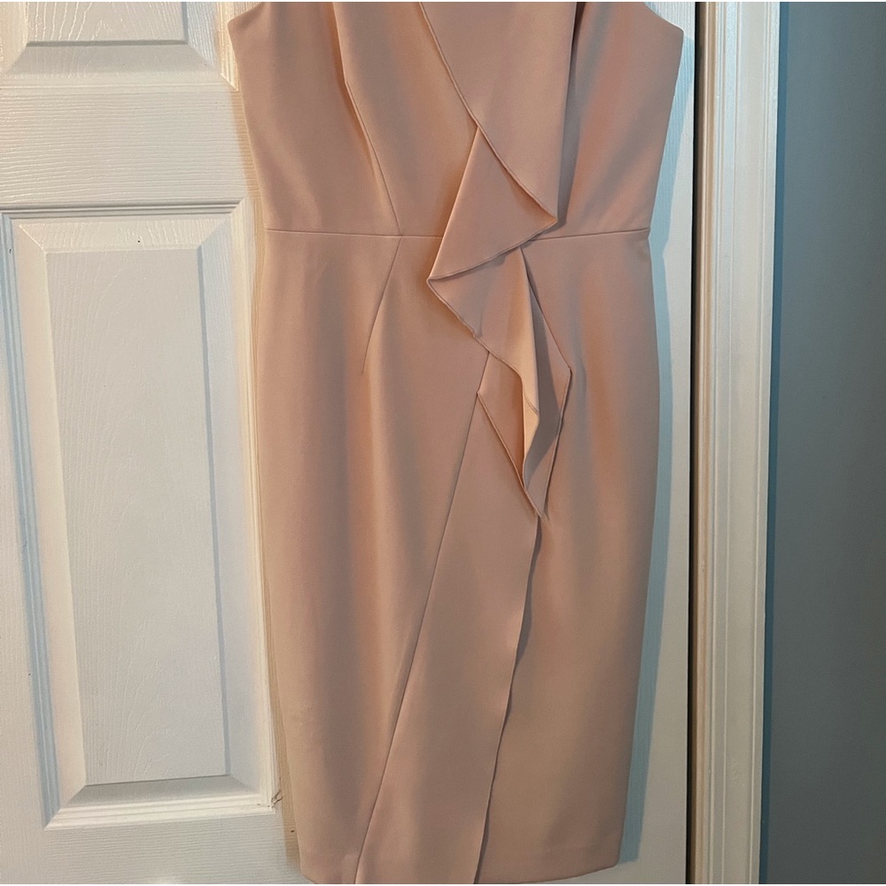Calvin Klein pale pink ruffle front dress.